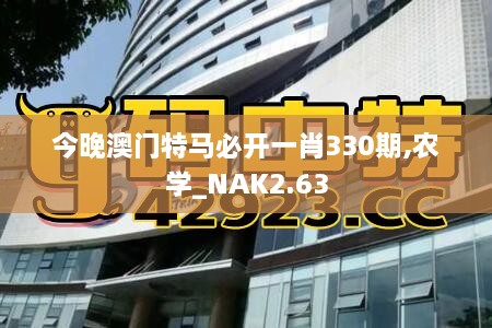新闻动态 第405页