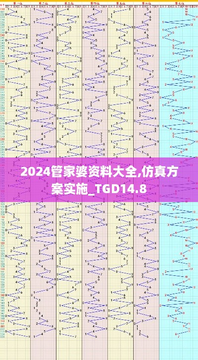 2024管家婆资料大全,仿真方案实施_TGD14.8