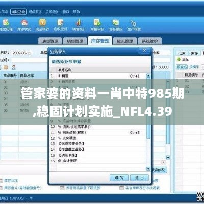 管家婆的资料一肖中特985期,稳固计划实施_NFL4.39