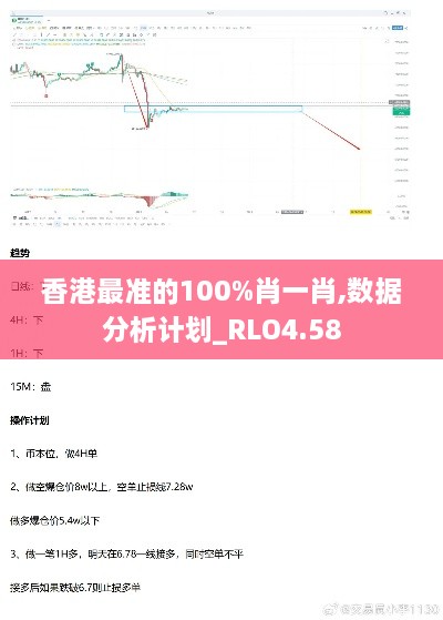 香港最准的100%肖一肖,数据分析计划_RLO4.58