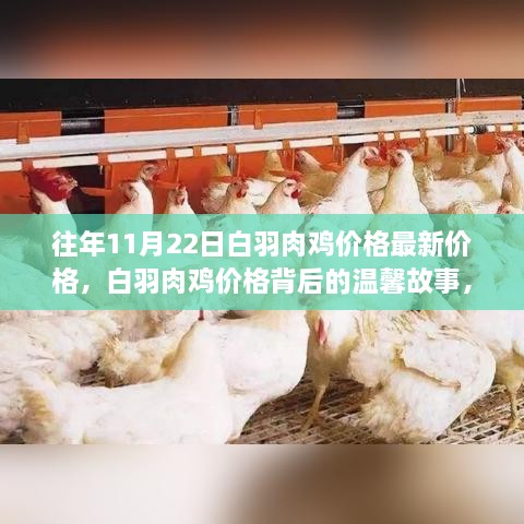 冉冉 第6页