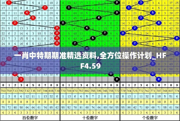 一肖中特期期准精选资料,全方位操作计划_HFF4.59