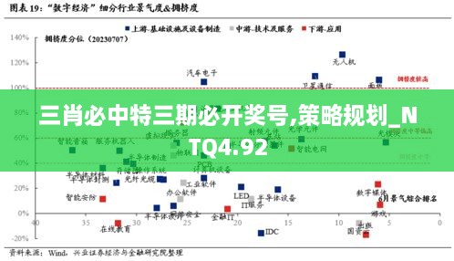 三肖必中特三期必开奖号,策略规划_NTQ4.92