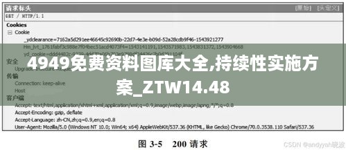 4949免费资料图库大全,持续性实施方案_ZTW14.48
