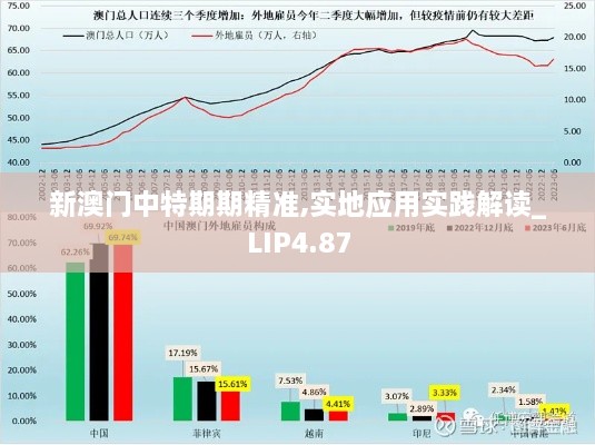 新澳门中特期期精准,实地应用实践解读_LIP4.87