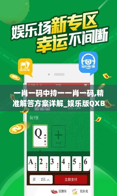 一肖一码中持一一肖一码,精准解答方案详解_娱乐版QXB2.82