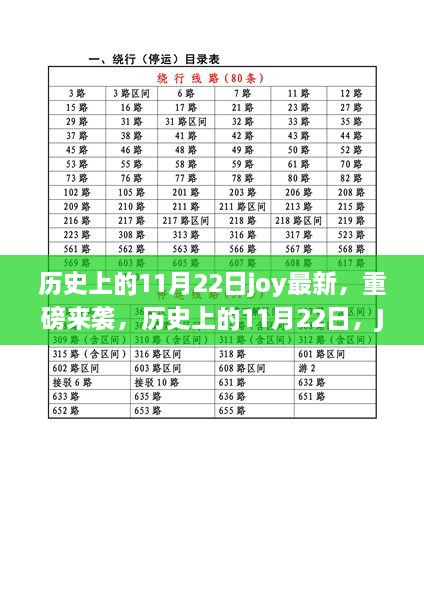 公司简介 第383页