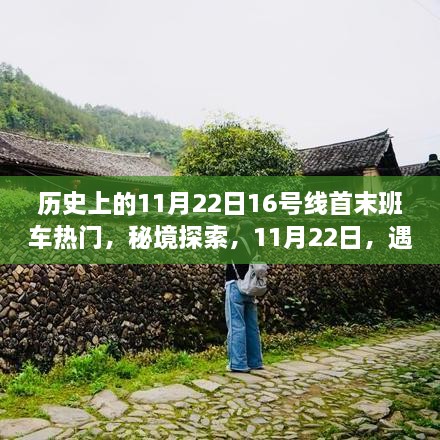 浑水摸鱼 第5页