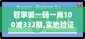 管家婆一码一肖100准332期,实地验证实施_获取版JLV11.41