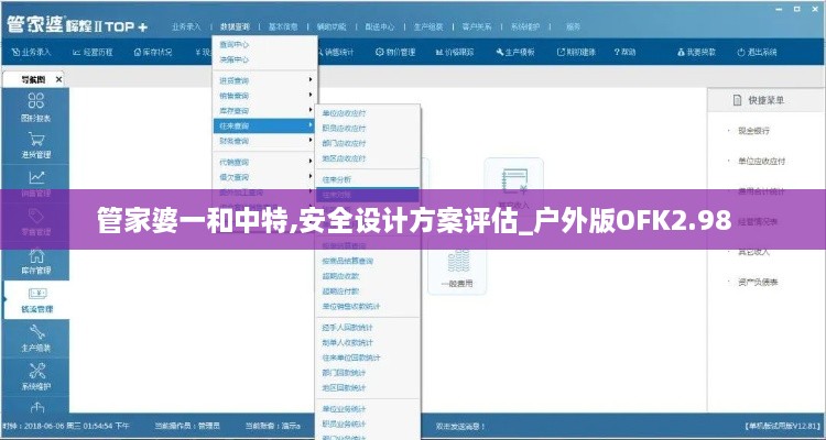 管家婆一和中特,安全设计方案评估_户外版OFK2.98