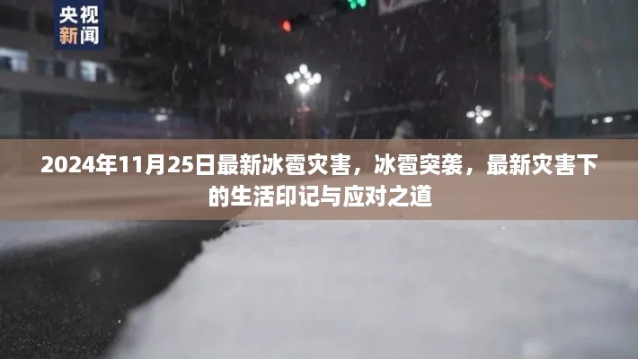 众志成城 第4页