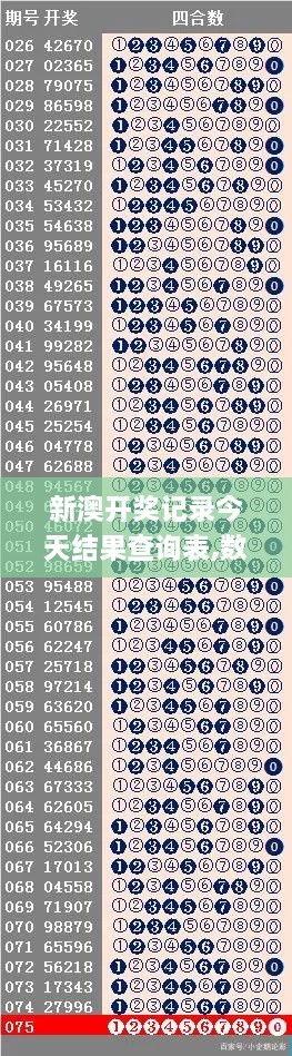 新澳开奖记录今天结果查询表,数据驱动决策_奢华版ZJB9.29