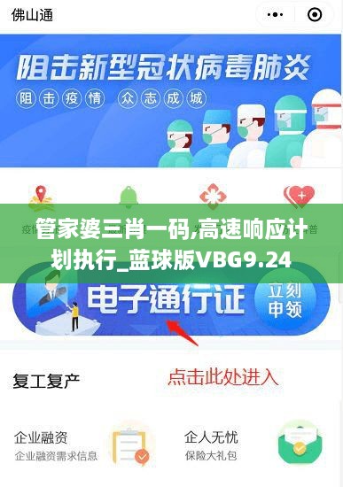 管家婆三肖一码,高速响应计划执行_蓝球版VBG9.24