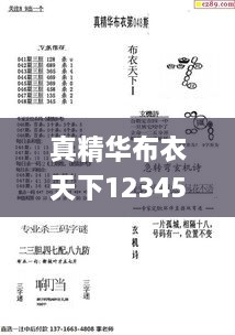 真精华布衣天下123456今天开奖号,快速问题处理_L版BKS9.29