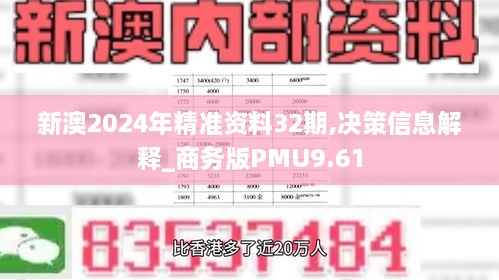 新澳2024年精准资料32期,决策信息解释_商务版PMU9.61