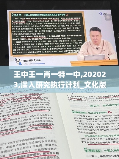 王中王一肖一特一中,202023,深入研究执行计划_文化版VKR9.57
