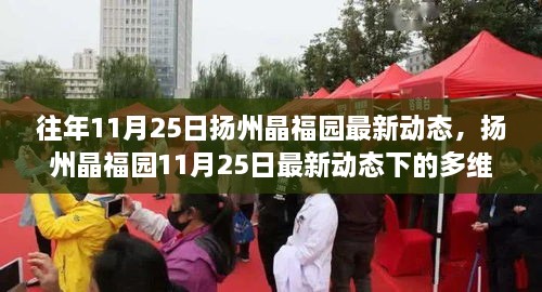 扬州晶福园11月25日最新动态深度解析与多维视角探讨