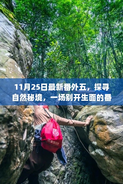 11月25日最新番外五，探寻自然秘境，一场别开生面的番外五日之旅