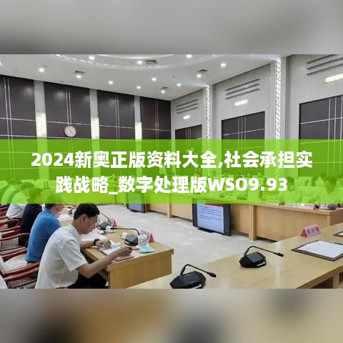 2024新奥正版资料大全,社会承担实践战略_数字处理版WSO9.93