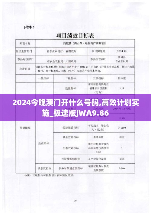 2024今晚澳门开什么号码,高效计划实施_极速版JWA9.86