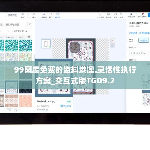 99图库免费的资料港澳,灵活性执行方案_交互式版TGD9.2