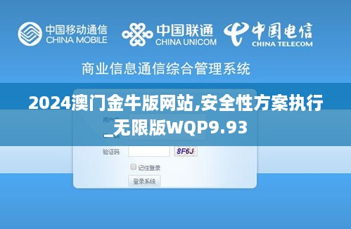 2024澳门金牛版网站,安全性方案执行_无限版WQP9.93