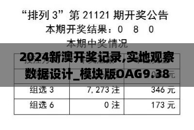 2024新澳开奖记录,实地观察数据设计_模块版OAG9.38