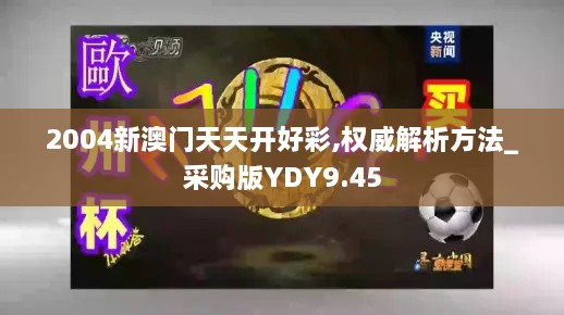 2004新澳门天天开好彩,权威解析方法_采购版YDY9.45