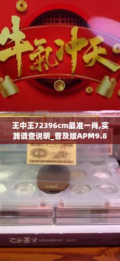 王中王72396cm最准一肖,实践调查说明_普及版APM9.87