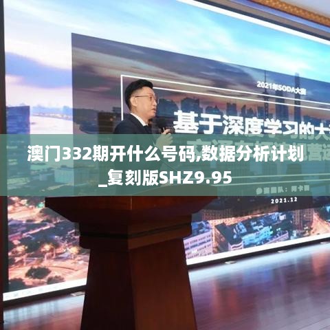 澳门332期开什么号码,数据分析计划_复刻版SHZ9.95