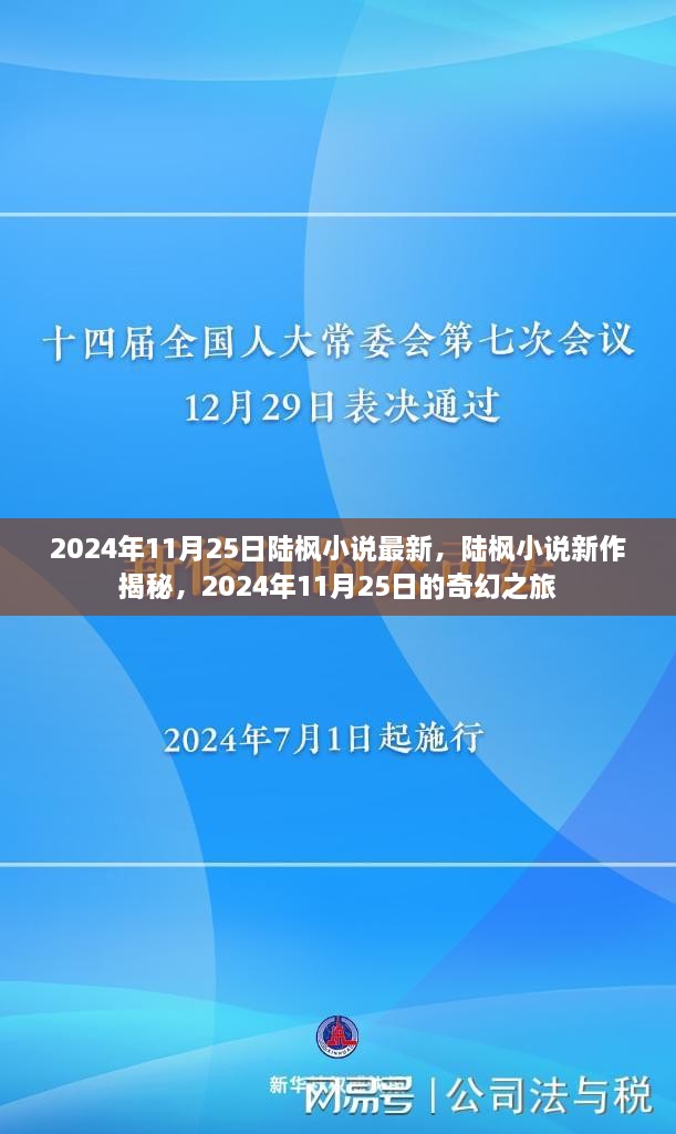 2024年11月25日陆枫小说最新，陆枫小说新作揭秘，2024年11月25日的奇幻之旅