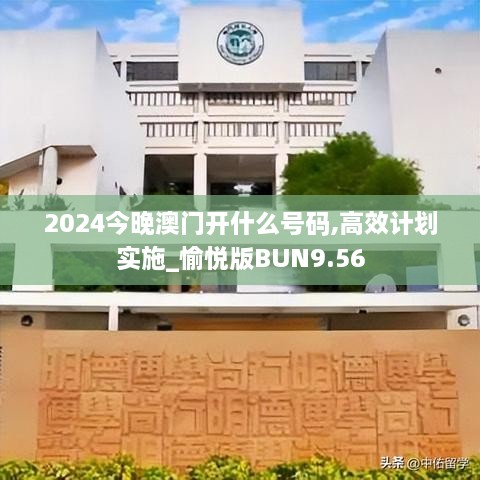 2024今晚澳门开什么号码,高效计划实施_愉悦版BUN9.56