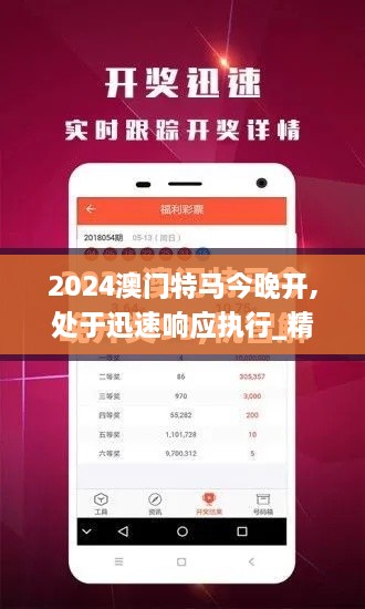 2024澳门特马今晚开,处于迅速响应执行_精英版VSY9.52