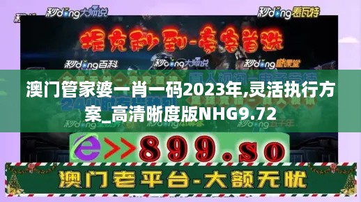 澳门管家婆一肖一码2023年,灵活执行方案_高清晰度版NHG9.72