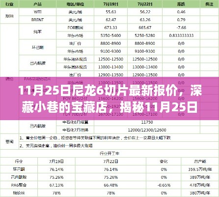 11月25日尼龙6切片最新报价，深藏小巷的宝藏店，揭秘11月25日尼龙6切片最新报价的独特魅力
