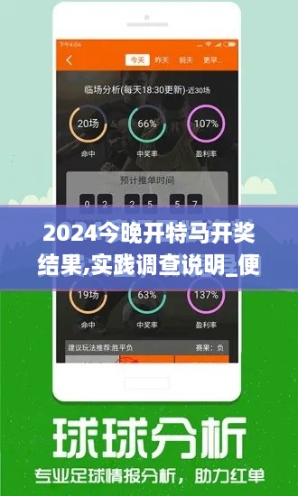 2024今晚开特马开奖结果,实践调查说明_便携版CXX9.21