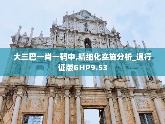 大三巴一肖一码中,精细化实施分析_通行证版GHP9.53