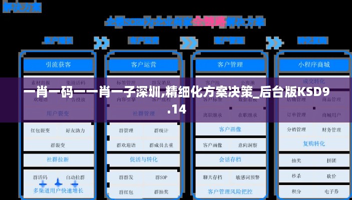一肖一码一一肖一子深圳,精细化方案决策_后台版KSD9.14
