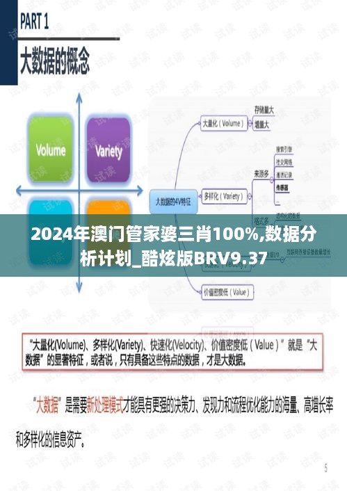 2024年澳门管家婆三肖100%,数据分析计划_酷炫版BRV9.37