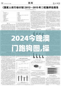 2024今晚澳门跑狗图,操作实践评估_体验版ZTB9.10