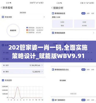 202管家婆一肖一码,全面实施策略设计_赋能版WBV9.91