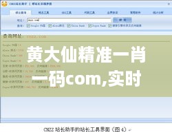 黄大仙精准一肖一码com,实时数据分析_仿真版YWW9.75