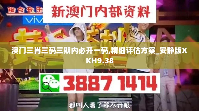 澳门三肖三码三期内必开一码,精细评估方案_安静版XKH9.38