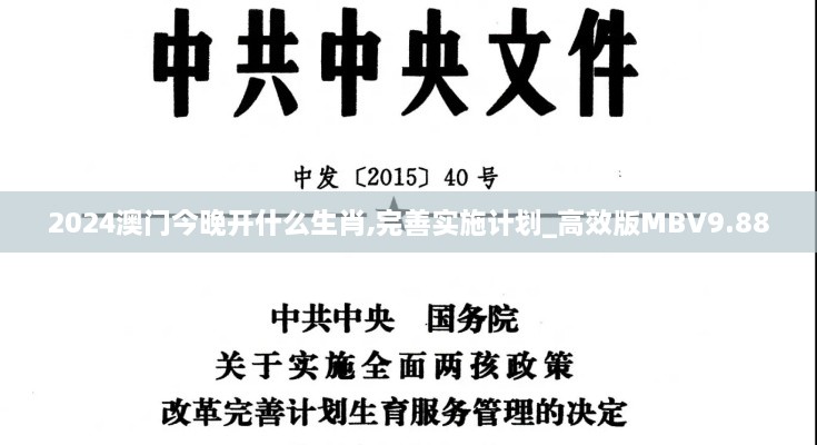 2024澳门今晚开什么生肖,完善实施计划_高效版MBV9.88