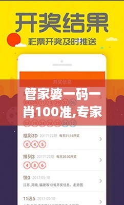 管家婆一码一肖100准,专家权威解答_高速版XDP9.73