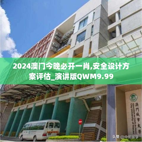 2024澳门今晚必开一肖,安全设计方案评估_演讲版QWM9.99