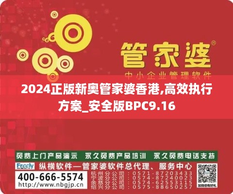 2024正版新奥管家婆香港,高效执行方案_安全版BPC9.16