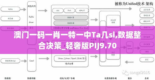 澳门一码一肖一特一中Ta几si,数据整合决策_轻奢版PIJ9.70