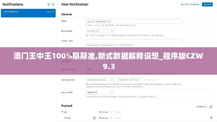 澳门王中王100%期期准,新式数据解释设想_程序版CZW9.3