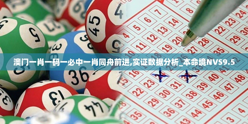 澳门一肖一码一必中一肖同舟前进,实证数据分析_本命境NVS9.5